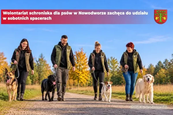Sobota z psem: wolontariat schroniska w Nowodworze zaprasza na spacery