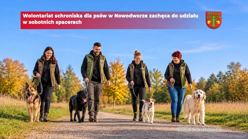 Sobota z psem: wolontariat schroniska w Nowodworze zaprasza na spacery