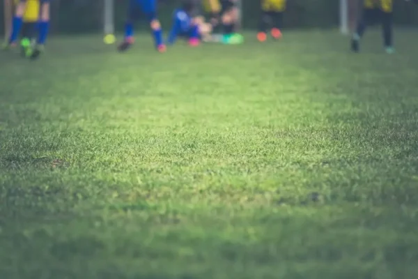Młodzicy GKS Niedźwiada kończą jesień zwycięstwem 2:1 nad Perłą Rokitno